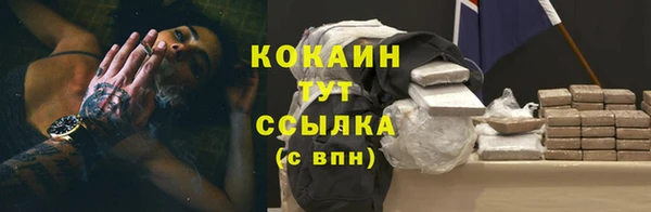 мяу мяу мука Кострома