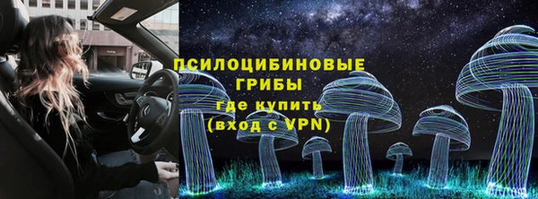 ALPHA PVP Каменск-Шахтинский