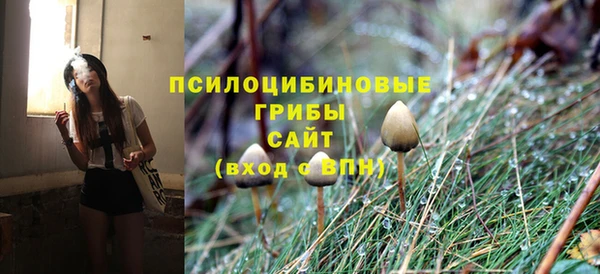 бошки Карпинск