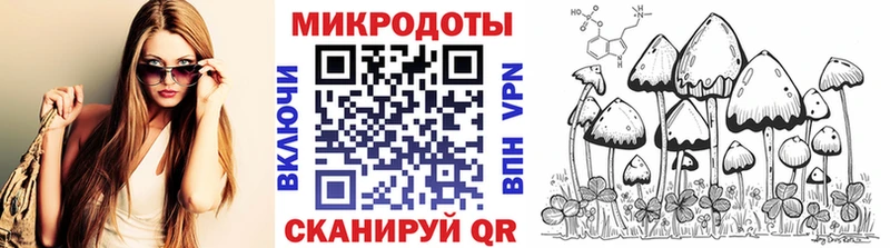 Галлюциногенные грибы Cubensis Малоархангельск